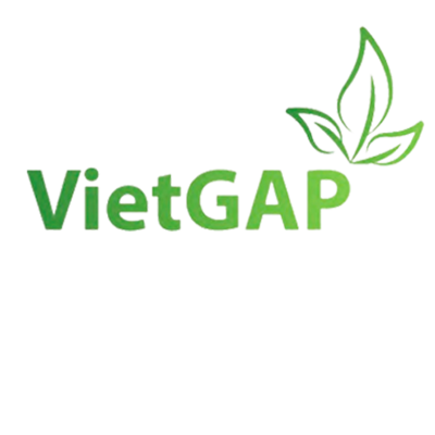 Logo Vietgap